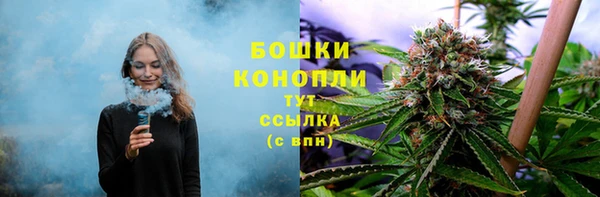 МДПВ Аркадак